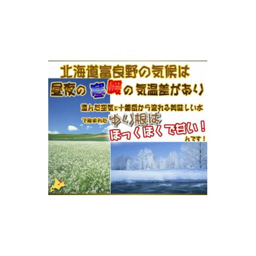 ふるさと納税 野菜類 北海道 富良野市 富良野産 百合根(ゆりね ふるさと納税 野菜類 北海道 富良野市 富良野産 百合根(ゆりね