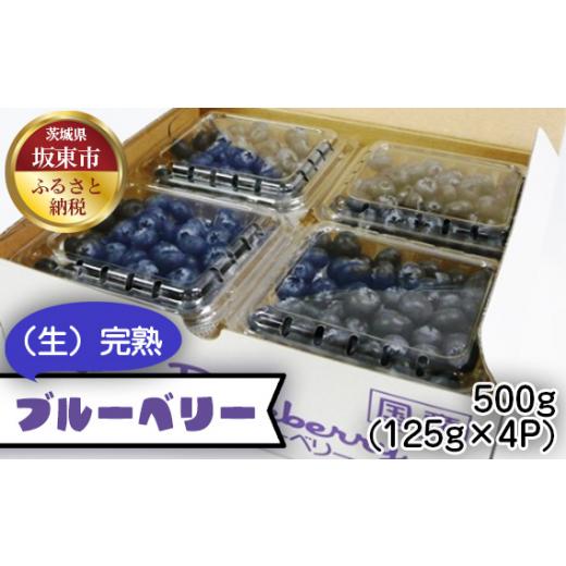 ふるさと納税 茨城県 坂東市 No.523 茨城県産　坂東市（生）完熟ブルーベリー500g（125g×4P） ／ フルーツ アントシアニン ビタミンE 茨城県｜furusatochoice｜02