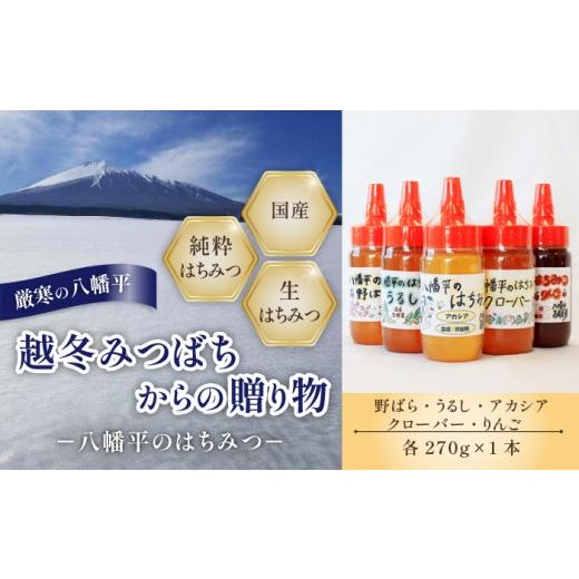 ふるさと納税 加工品等 はちみつ 岩手県 八幡平市  国産純粋はちみつ 蜂蜜 5種 セット アカシア りんご 野ばら うるし クローバー 270g × 各1本 ／ あかしあ …の画像