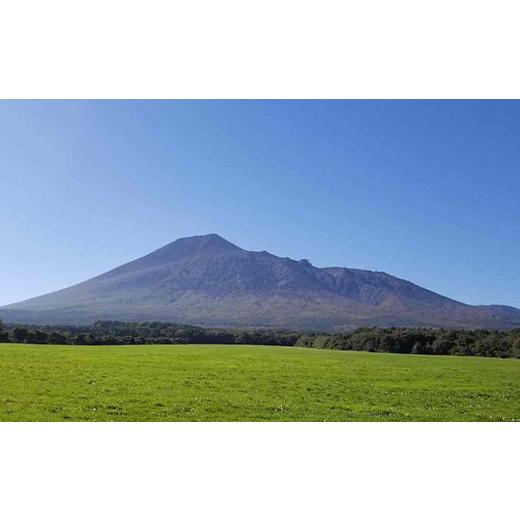 ふるさと納税 加工品等 はちみつ 岩手県 八幡平市  国産純粋はちみつ 蜂蜜 5種 セット アカシア りんご 野ばら うるし クローバー 270g × 各1本 ／ あかしあ …の画像