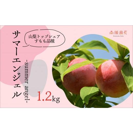 ふるさと納税 果物類 山梨県 南アルプス市 2026年発送分先行予約 農家直送 すもも サマーエンジェル約1.2kg AL
