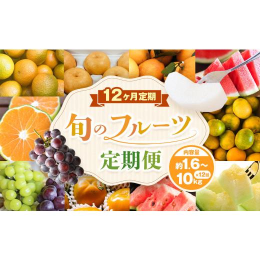 ふるさと納税 みかん・柑橘類 熊本県 熊本市 旬のフルーツ 定期便 12ヶ月_1