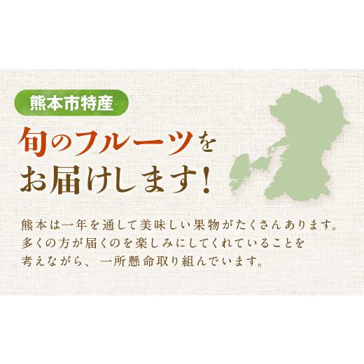 ふるさと納税 みかん・柑橘類 熊本県 熊本市 旬のフルーツ 定期便 12ヶ月_2