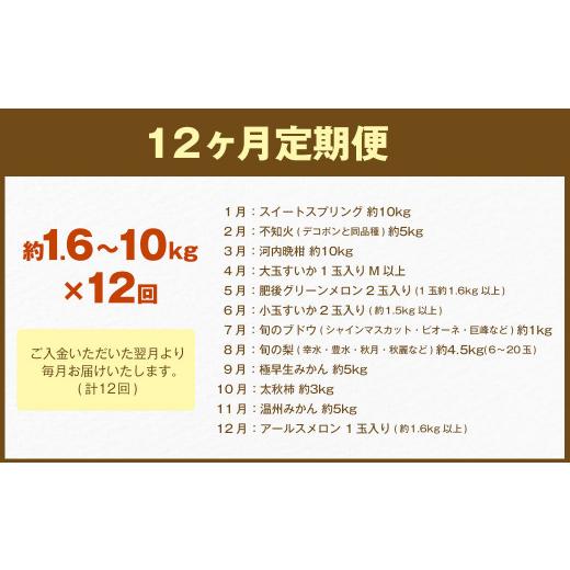 ふるさと納税 みかん・柑橘類 熊本県 熊本市 旬のフルーツ 定期便 12ヶ月_3