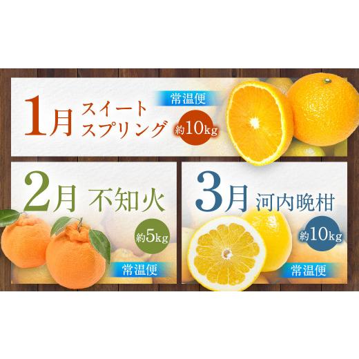 ふるさと納税 みかん・柑橘類 熊本県 熊本市 旬のフルーツ 定期便 12ヶ月_4