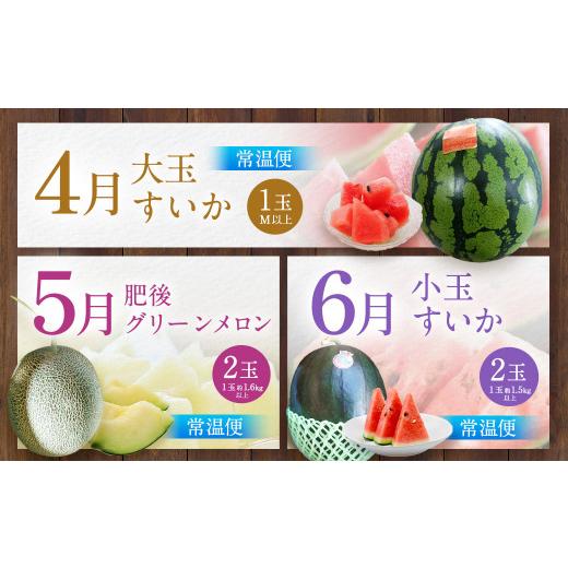 ふるさと納税 みかん・柑橘類 熊本県 熊本市 旬のフルーツ 定期便 12ヶ月_5