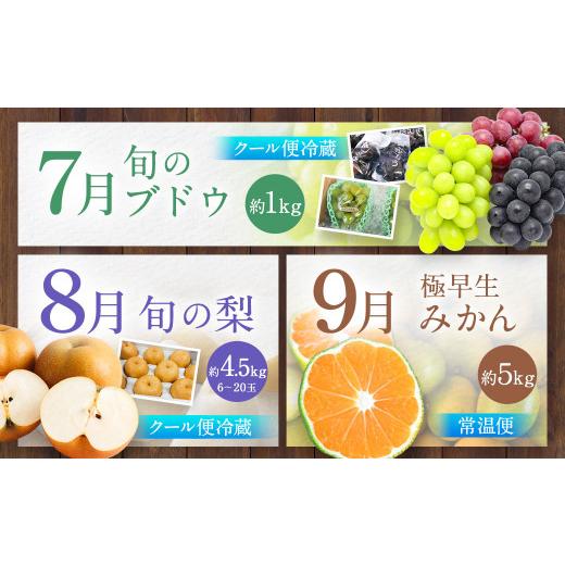 ふるさと納税 みかん・柑橘類 熊本県 熊本市 旬のフルーツ 定期便 12ヶ月_6