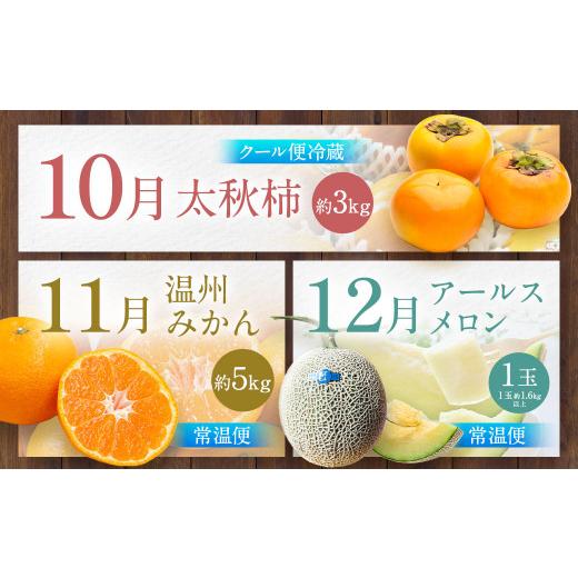 ふるさと納税 みかん・柑橘類 熊本県 熊本市 旬のフルーツ 定期便 12ヶ月_7