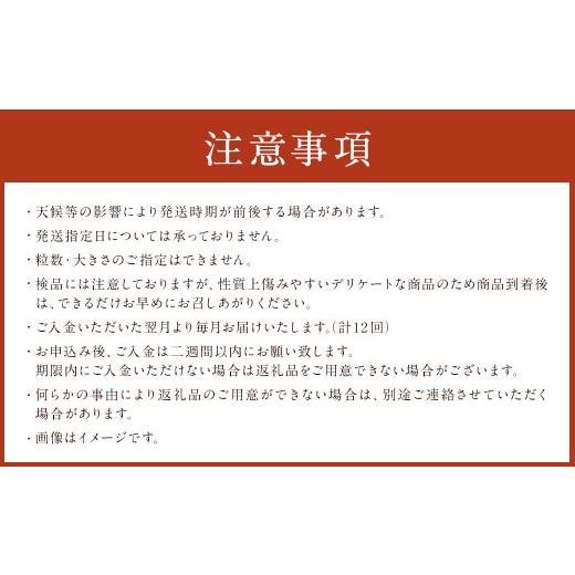 ふるさと納税 みかん・柑橘類 熊本県 熊本市 旬のフルーツ 定期便 12ヶ月_8