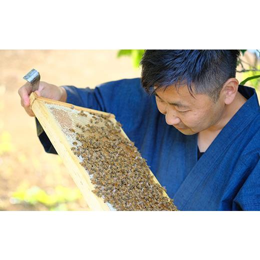 ふるさと納税 加工品等 はちみつ 茨城県 古河市 季節で移ろう田舎はちみつボトル7種セット ピタッとボトルB7 茨城県共通返礼品／五霞町 着日指定不可 | 生ハチ…の画像