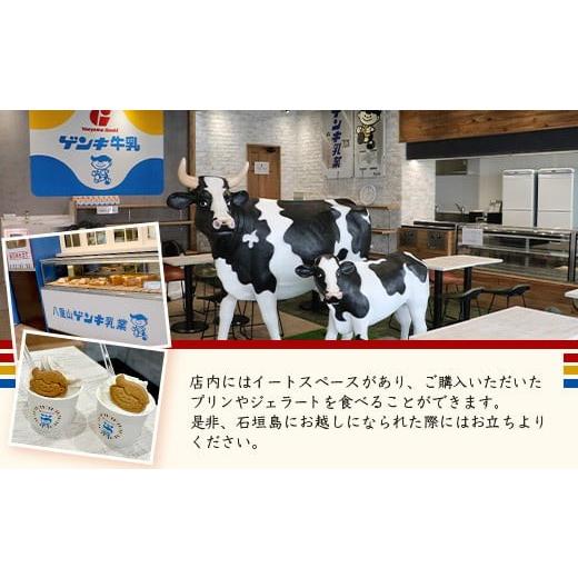 ふるさと納税 菓子 プリン 沖縄県 石垣市 ゲンキプリン 12個