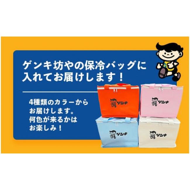 ふるさと納税 菓子 プリン 沖縄県 石垣市 ゲンキプリン 12個