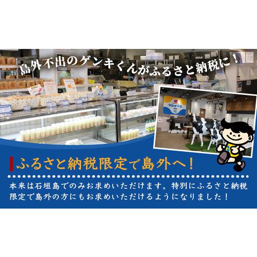 ふるさと納税 沖縄県 石垣市 【島外不出のゲンキくんグッズが返礼品に!!】八重山ご当地キャラクターゲンキくん クールグミ 12袋【八重山ゲンキ乳業 お土産 観…｜furusatochoice｜04