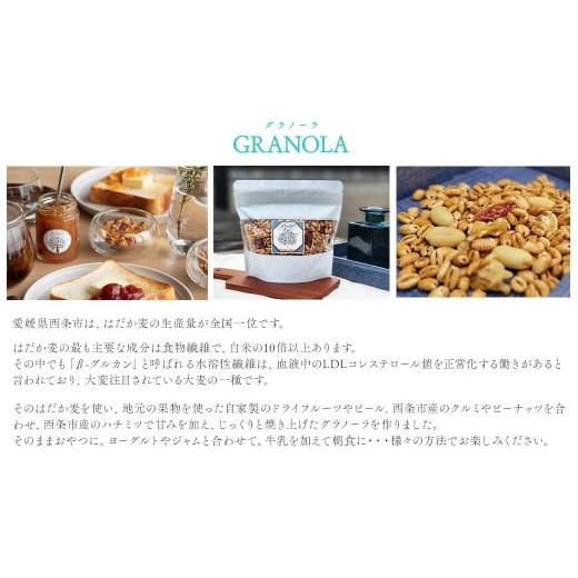 ふるさと納税 愛媛県 西条市 grandpa's tree   「手作りジャム＆グラノーラ  詰め合わせセット」 6個セット　ジャム グラノーラ フルーツ 手作り グラン…｜furusatochoice｜05