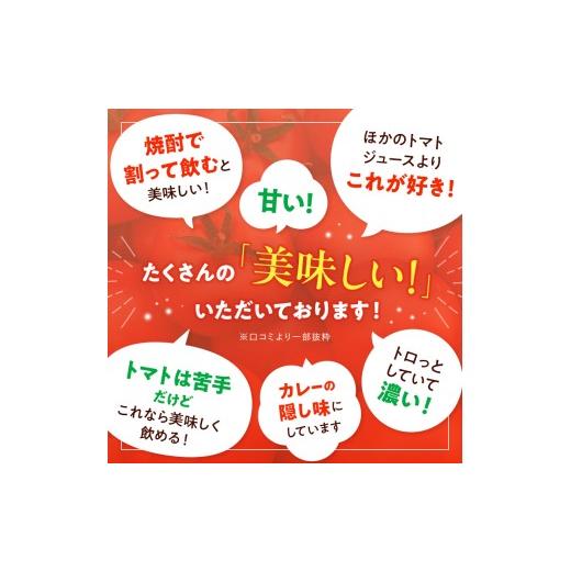 ふるさと納税 果汁飲料 トマト 北海道 下川町 とまとジュース「ふるさとの元気」1L 12本入 トマト 野菜 やさい 故郷 ふるさと 納税 国産 北海道産 北海道 下川…_6