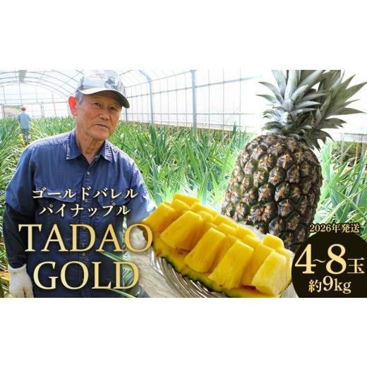 ふるさと納税 果物類 沖縄県 東村 TADAO GOLD 4〜8玉 約9kg（多冠芽
