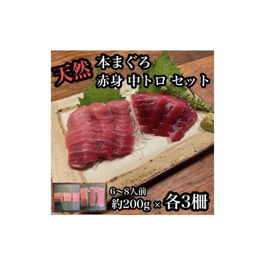 ふるさと納税 マグロ 神奈川県 小田原市 貴重な天然本鮪 赤身 約200g 中トロ 約200g 各3柵ずつ 6 8人前●赤身はマグロの中心部天身を使用 中とろの脂はくどく…の画像