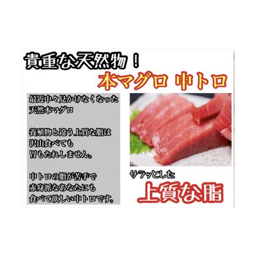 ふるさと納税 マグロ 神奈川県 小田原市 貴重な天然本鮪 赤身 約200g 中トロ 約200g 各3柵ずつ 6 8人前●赤身はマグロの中心部天身を使用 中とろの脂はくどく…の画像
