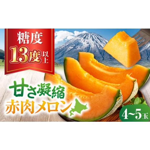 ふるさと納税 メロン メロン赤肉 北海道 喜茂別町 2026年7月下旬以降順次発送 赤肉メロン 4〜5玉 [喜茂別町] ニセコビュープラザ直売会協同組合 メロン め…