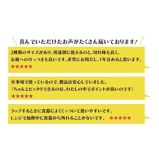 ふるさと納税 雑貨・日用品 茨城県 筑西市 キッチニスタラップ 定番