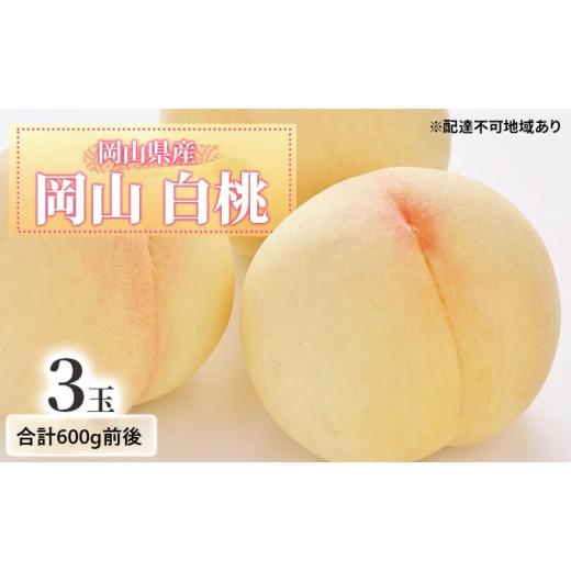 ふるさと納税 もも 岡山県 瀬戸内市 桃 2026年 先行予約 白桃 3玉入り 合計600g前後 岡山県産もも モモ 岡山県産 国産 フルーツ 果物 ギフト No.5735-1886の画像