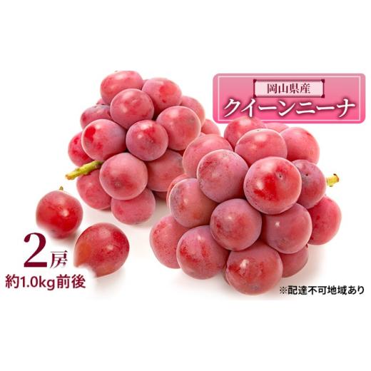 ふるさと納税 ぶどう 岡山県 瀬戸内市 ぶどう 2026年 先行予約 クイーンニーナ 2房 約1.0kg前後 ブドウ 葡萄 岡山県産 国産 フルーツ 果物 ギフト No.5735-189…の画像