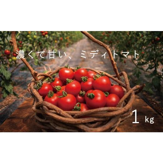 ふるさと納税 野菜類 トマト 北海道 当麻町 2026年産 フルーツトマト 1kg のんの畑北海道 ミディトマト 数量限定