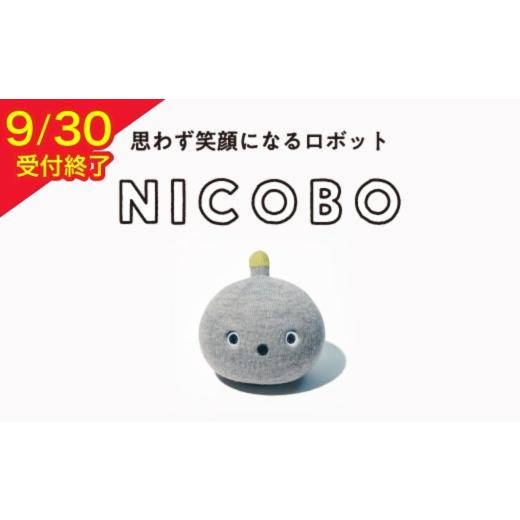 ふるさと納税 電化製品 栃木県 宇都宮市 パナソニック NICOBO（ニコボ