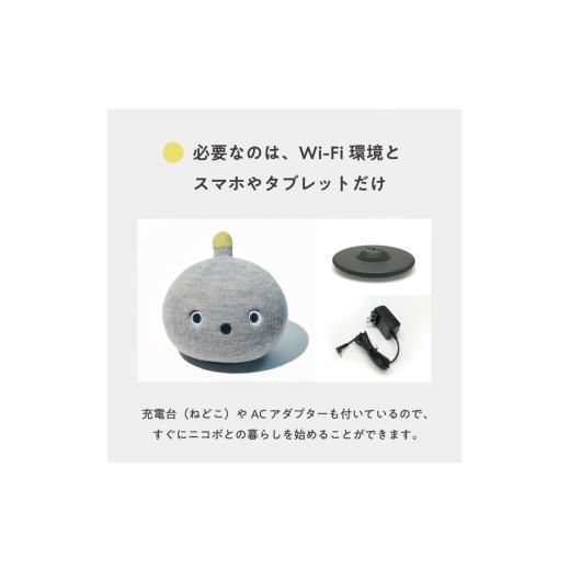 Panasonic NICOBO ニコボ グレー本体