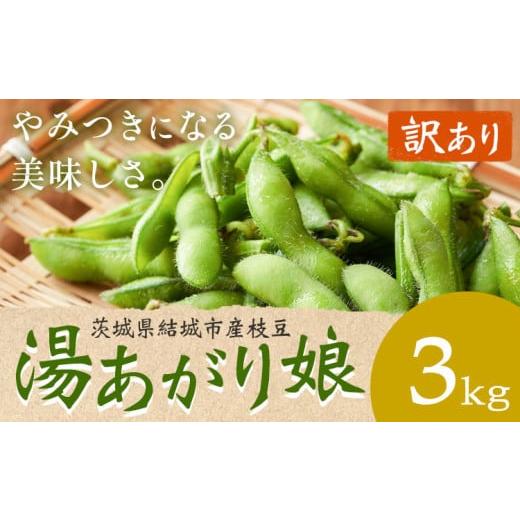 ふるさと納税 豆類 枝豆 茨城県 結城市 訳あり 枝豆「湯あがり娘」3kg(茶豆味) 先行予約 有限会社大嶋農園 [2026年7月中旬-8月上旬頃出荷] 茨城県結城市…