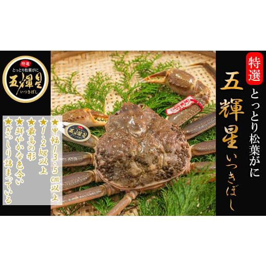 ふるさと納税 カニ 松葉ガニ 鳥取県 日吉津村 鳥取県産 松葉ガニ「五輝星」
