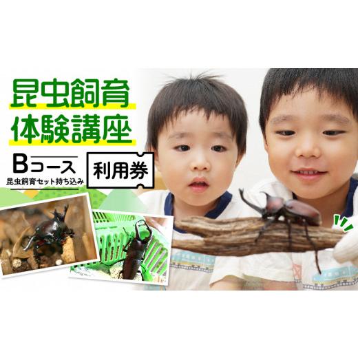 ふるさと納税 体験チケット 京都府 南山城村 幼児〜小学生対象 昆虫飼育体験講座Bコース(昆虫・飼育セット各自お持ち込み 体験:9月〜12月の各日曜日 )ご利…