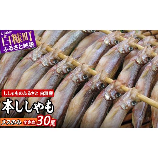 ふるさと納税 北海道 白糠町 しらぬか産 本ししゃも 小さめ メス 30尾 ししゃも シシャモ 子持ちししゃも 卵 魚卵 魚 魚介 国産 北海道 北海道産 ふるさと納税