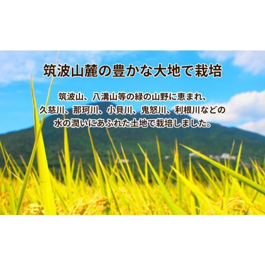 ふるさと納税 茨城県 土浦市 令和5年産 茨城県産 無洗米コシヒカリ　精米　5kg（5kg×1袋）※着日指定不可※離島への配送不可｜furusatochoice｜04