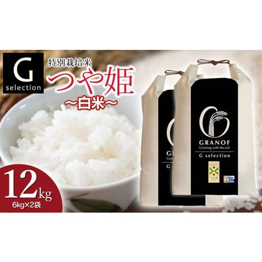 ふるさと納税 米 つや姫 山形県 鶴岡市 令和7年産 新米 特別栽培米 Gセレクション つや姫 白米 12kg (6kg×2袋) 山形県鶴岡市産 株式会社グラノフ 白米