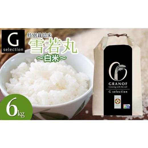 ふるさと納税 米 山形県 鶴岡市 令和7年産 新米 特別栽培米 Gセレクション 雪若丸 白米 6kg(6kg×1袋) 山形県鶴岡市産 株式会社グラノフ 白米