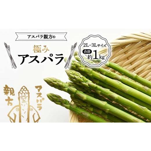 ふるさと納税 野菜類 アスパラガス 福島県 白河市 [先行予約]アスパラ親方の極みアスパラ 2L〜3Lサイズ 合計約1kg F23R-618