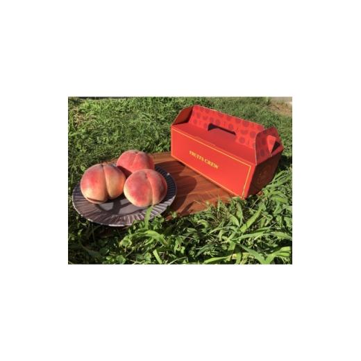 ふるさと納税 もも 山梨県 山梨市 キレのある甘酸バランス 加納岩白桃 本場山梨品種指定キャンペーン約1kg 2026年6月下旬発送 1466870