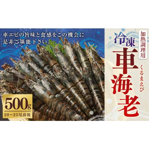 ふるさと納税 鹿児島県 薩摩川内市 ZS-951 冷凍車エビ 約500g (加熱調理用)