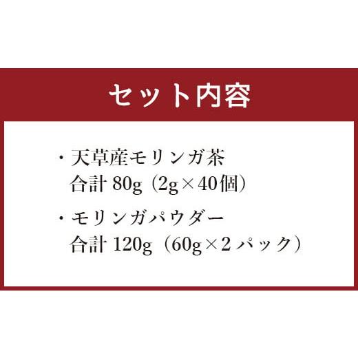 ふるさと納税 お茶類 熊本県 上天草市 モリンガ茶〈2パック〉&モリンガパウダー〈2パック〉セット(熊本県天草産100%)_4