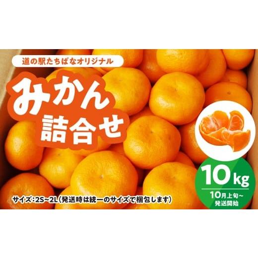 ふるさと納税 果物類 みかん 福岡県 八女市 道の駅たちばなオリジナル みかん10kg詰合せ 早生みかん 中生みかん 晩生みかん ミカン オレンジ 果物 フルーツ