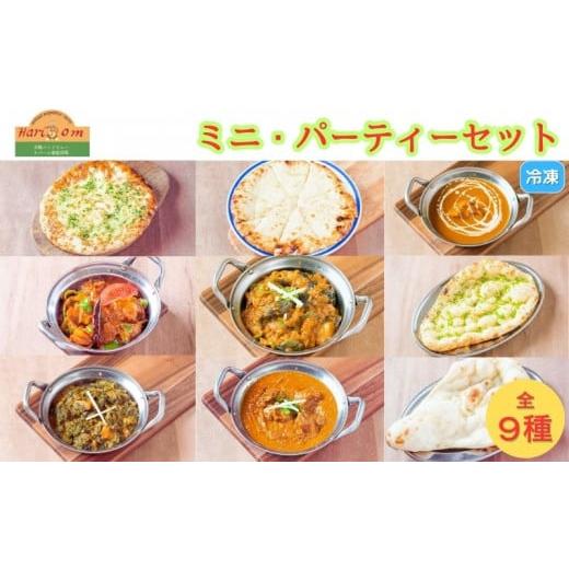 ふるさと納税 千葉県 我孫子市 手作りインドカレー ミニ・パーティーセット カレー5種類 ナン4種類