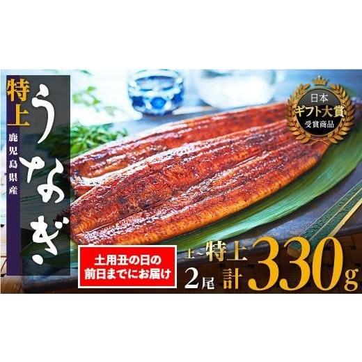 ふるさと納税 うなぎ 鹿児島県 大崎町 数量限定 2026年土用丑の日までにお届け 鹿児島県産うなぎ長蒲焼2尾