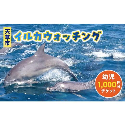 ふるさと納税 熊本県 天草市 S104-003_天草市イルカウォッチング 1,000円分チケット幼児(2歳以上)