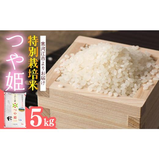 ふるさと納税 米 つや姫 山形県 寒河江市 2026年3月後半 特別栽培米 山形県産 つや姫 5kg 令和7年産 / 2025年産 白米 精米 お米 米 小分け ブランド米 ごは…