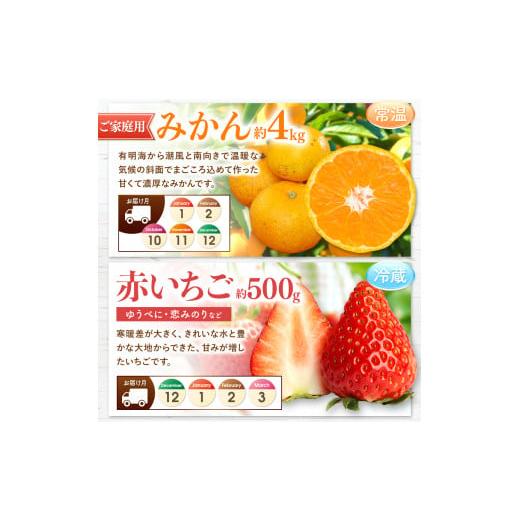 ふるさと納税 熊本県 玉名市 【 定期便 4回 】 プチっと 堪能 ！ 人気 フルーツ | 赤いちご 白いちご みかん 不知火 デコポン スイカ ぶどう 梨 太秋柿 果物 …｜furusatochoice｜05