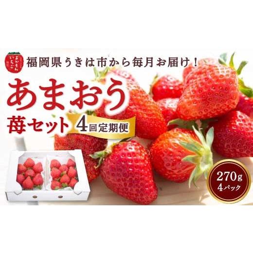 ふるさと納税 いちご 福岡県 うきは市 4回定期便 よかもんいちご あまおう苺セット4パック 2026年1月上旬から4月下旬 毎月 出荷予定 いちご 苺 イチゴ 旬 フ…