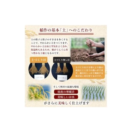 ふるさと納税 米 あきたこまち 秋田県 にかほ市 米 定期便 全6回 秋田県産 あきたこまち 4kg (2kg×2)×6回 計24kg 令和7年産土づくり実証米 JAしんせい 精米 …_7