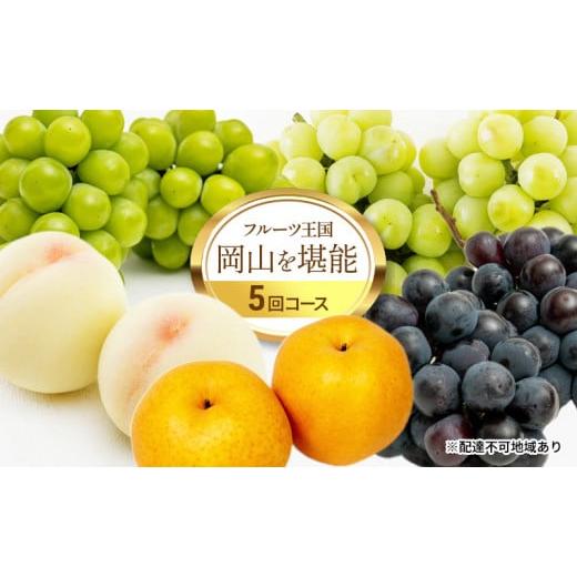 ふるさと納税 もも 岡山県 高梁市  No.5615-0475 フルーツ 定期便 2026年 先行予約 フルーツ王国 岡山を堪能 5回コース 桃 もも 葡萄 ぶどう 梨 なし岡山県産 …_1