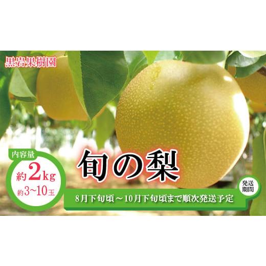 ふるさと納税 長野県 須坂市 旬の梨 約2kg (約3〜10玉)[黒岩果樹園] 2024年発送 ※8月下旬頃〜10月下旬頃まで順次発送予定